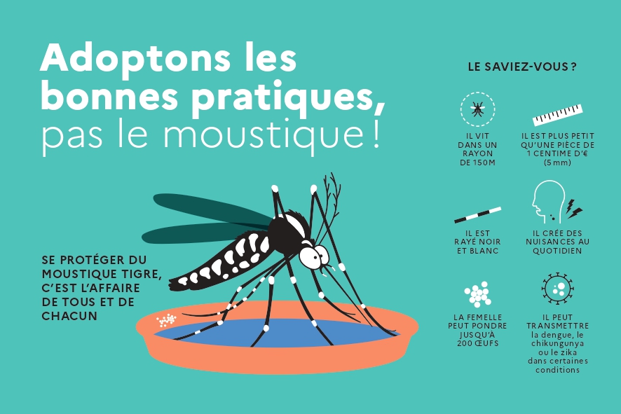 ARS22 MOUSTIQUE TIGRE FLYER 150x100mm BAT stc pages to jpg 0001